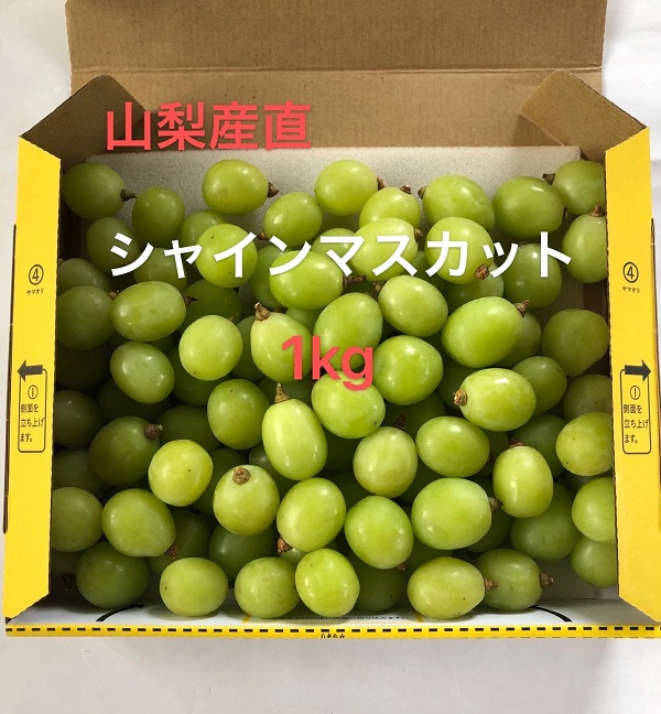 ぶどう